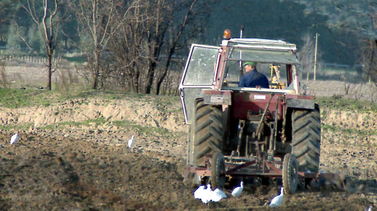 Un agricultior realiza labores de siembra en el campo