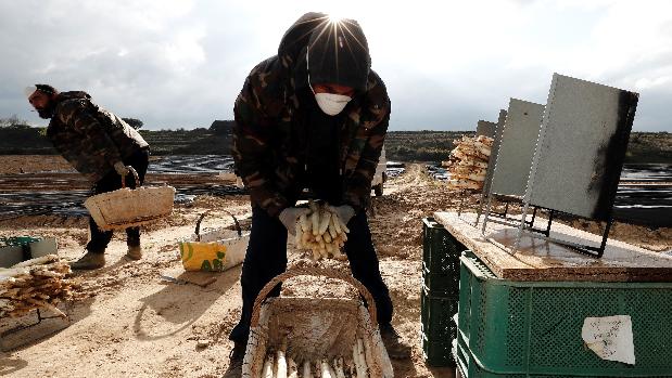 ¿Quién tiene que trabajar durante el estado de alarma? Estas son las actividades esenciales