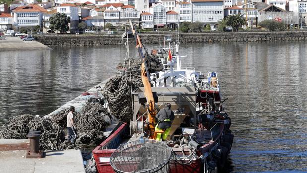 Los pescadores se enfrentan a su tormenta perfecta: caída de demanda y hundimiento de precios