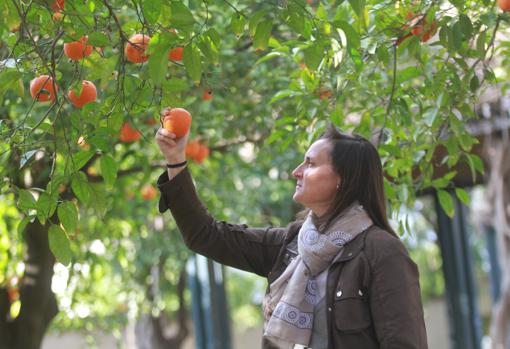 María Morales, presidente de Citrus Nostrum