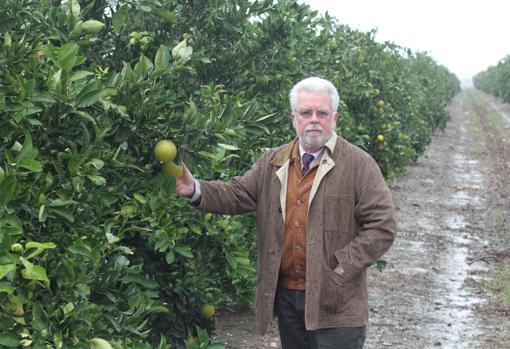 El campo sevillano se moviliza para llenar las despensas de Europa