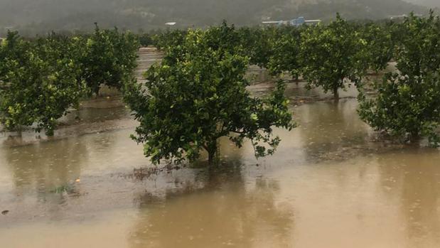 El BOE publica la rebaja del IRPF para agricultores y ganaderos afectados por inundaciones