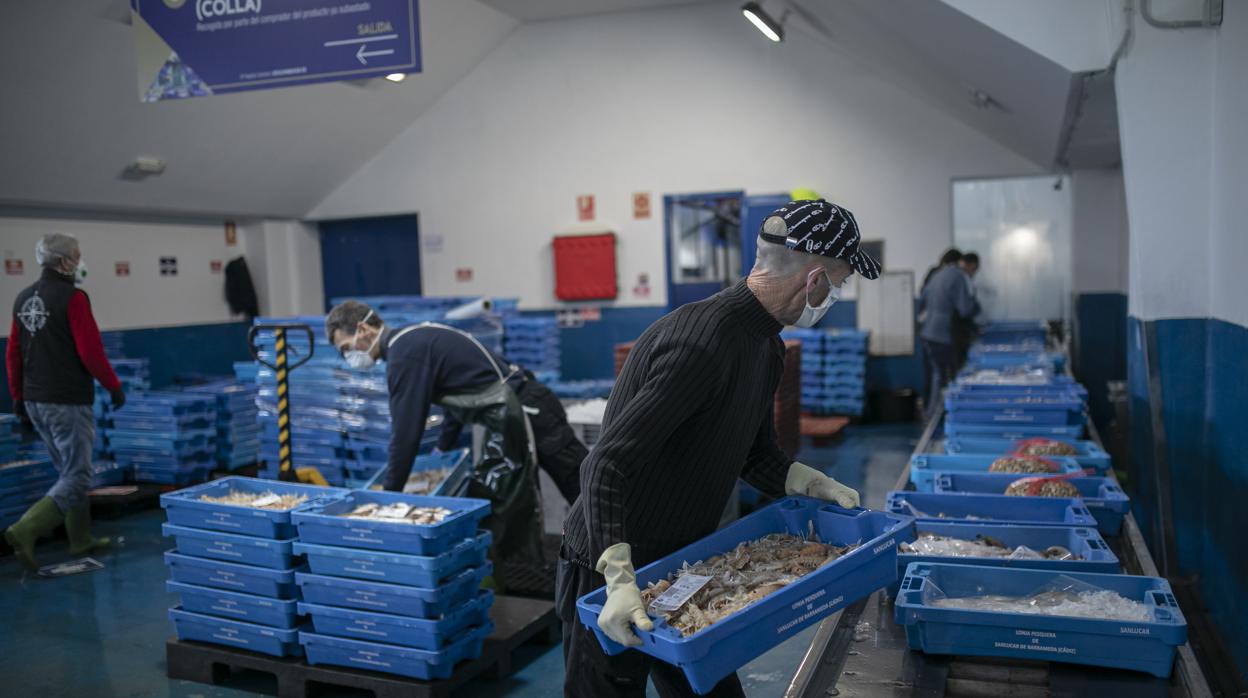 Imagen de la lonja pesquera de la Cofradía de Pescadores de Sanlúcar de Barrameda, donde se han implantado medidas de seguridad por el coronavirus