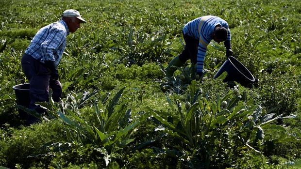 El campo exige más flexibilidad para mover a sus plantillas