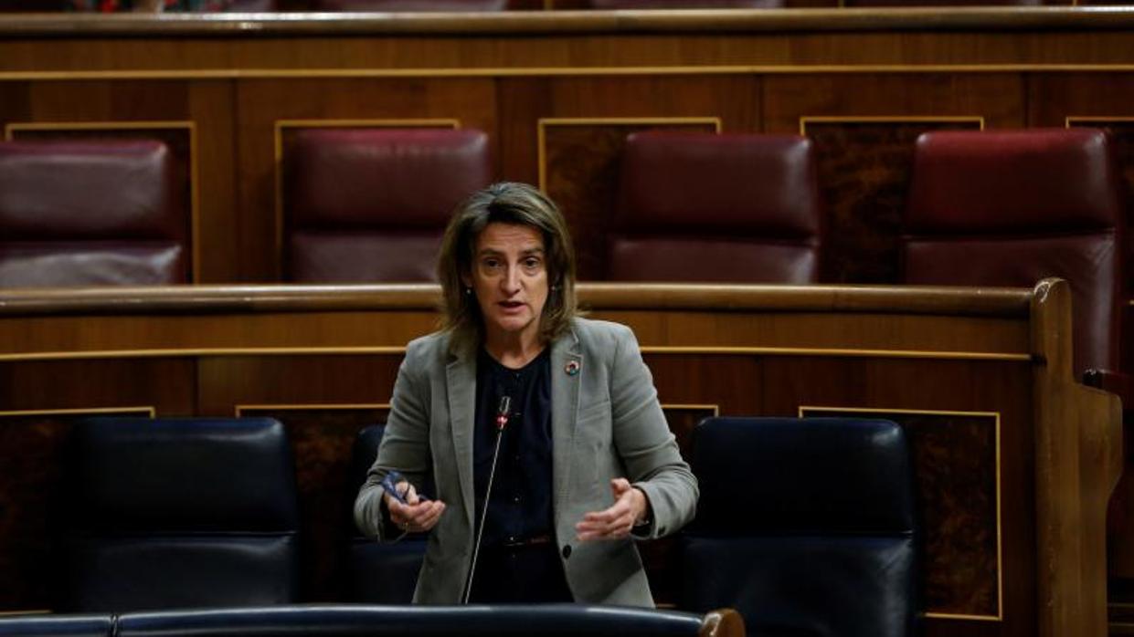 Teresa Ribera durante la sesión de control del pasado miércoles