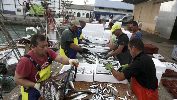 Los pescadores piden que no se amplíe a tres meses la moratoria de pesca