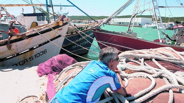 El Gobierno insiste en los tres meses de veda para la pesca de arrastre