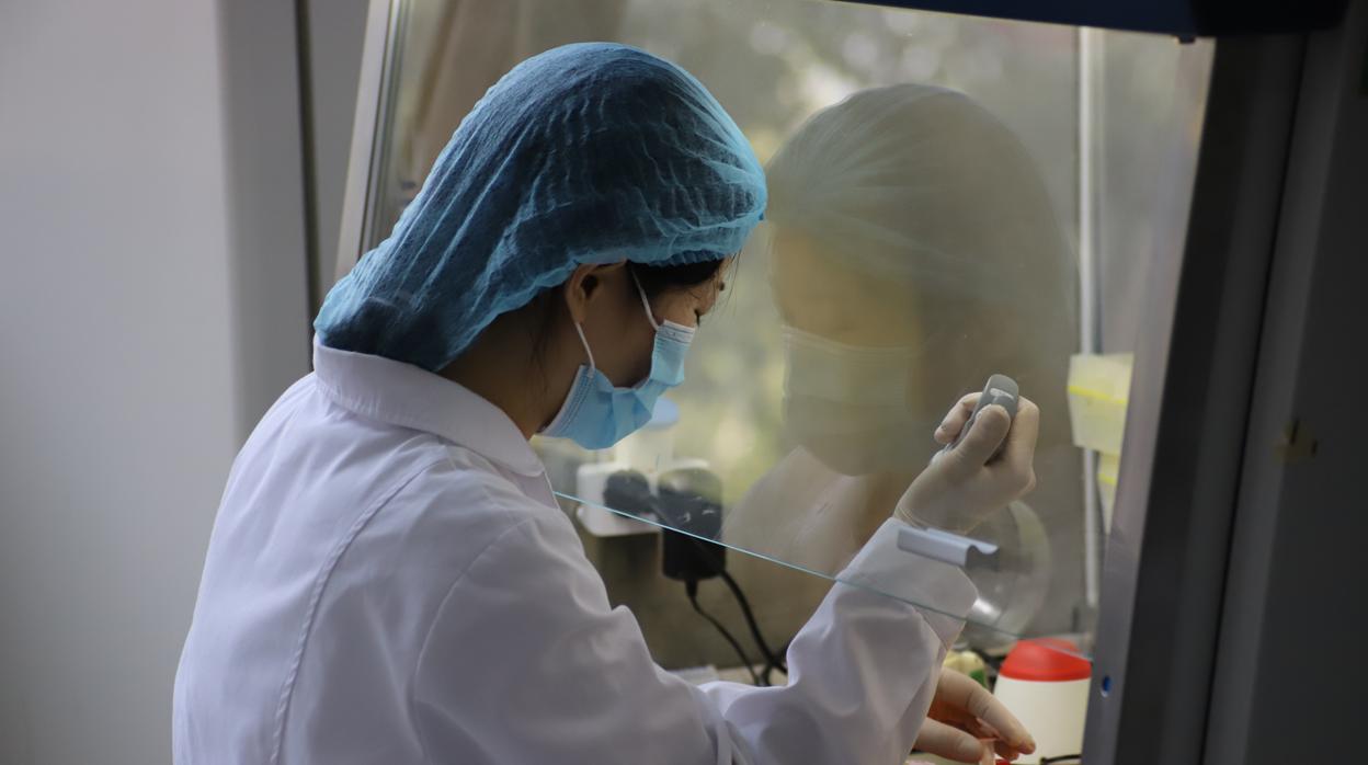 Laboratorio XABT de pruebas del coronavirus en Pekín (China). La firma XABT (Tecnologías Biológicas Aplicadas de Pekín) tiene capacidad para producir al día 100.000 kits de pruebas del coronavirus