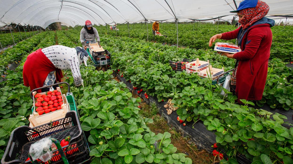 El sector agroalimentario alerta de que una subida de impuestos será negativo para la economía