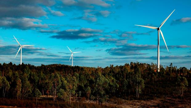 ¿A qué municipios andaluces irá el plan de 770 millones de Iberdrola?