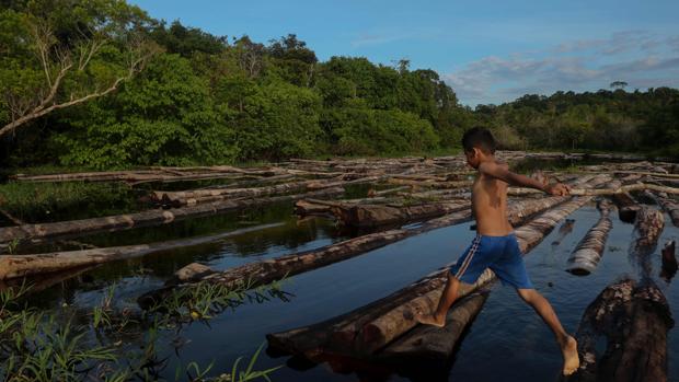 Brasil prepara un programa para vender a fondos de inversión el 15% del Amazonas