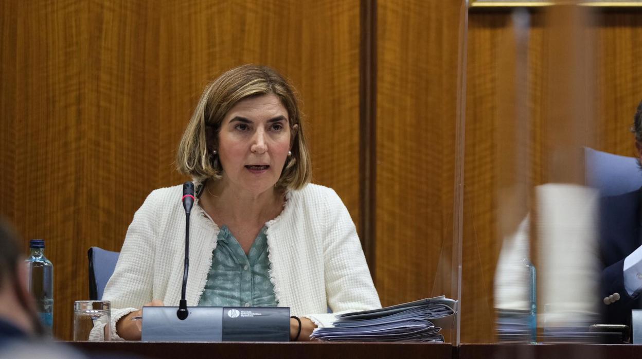 Rocío Blanco durante su intervención en la comisión parlamenmtaria de Empleo