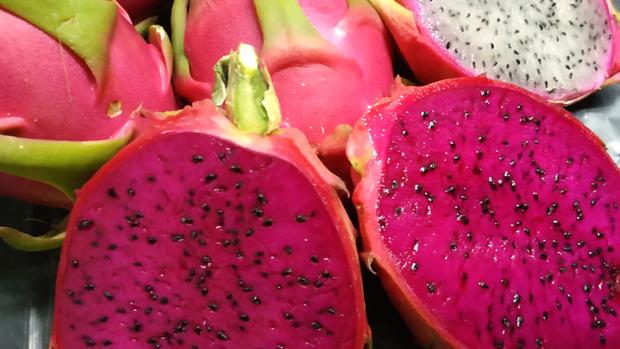 La pitaya, un innovador cultivo en expansión por la provincia de Huelva