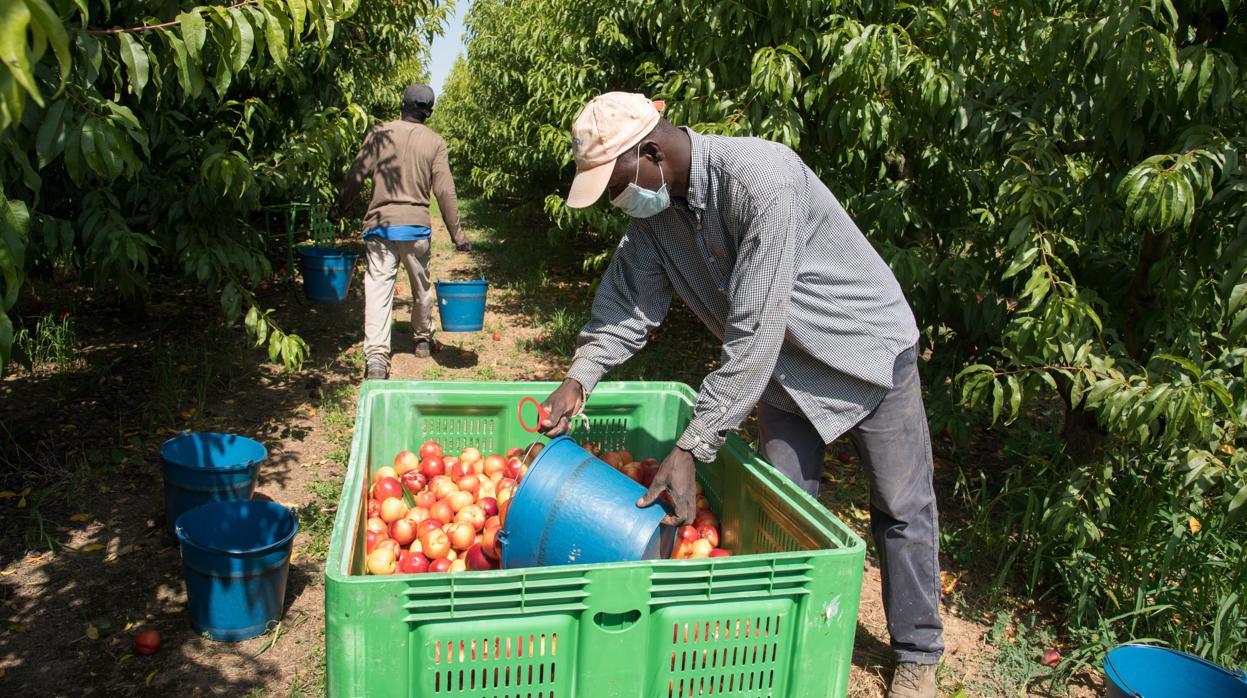 Hacienda obliga a los extranjeros atrapados en España más de 183 días por el confinamiento a tributar aquí