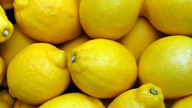 Aumenta un 28% el valor de las exportaciones de mandarinas y limones andaluces