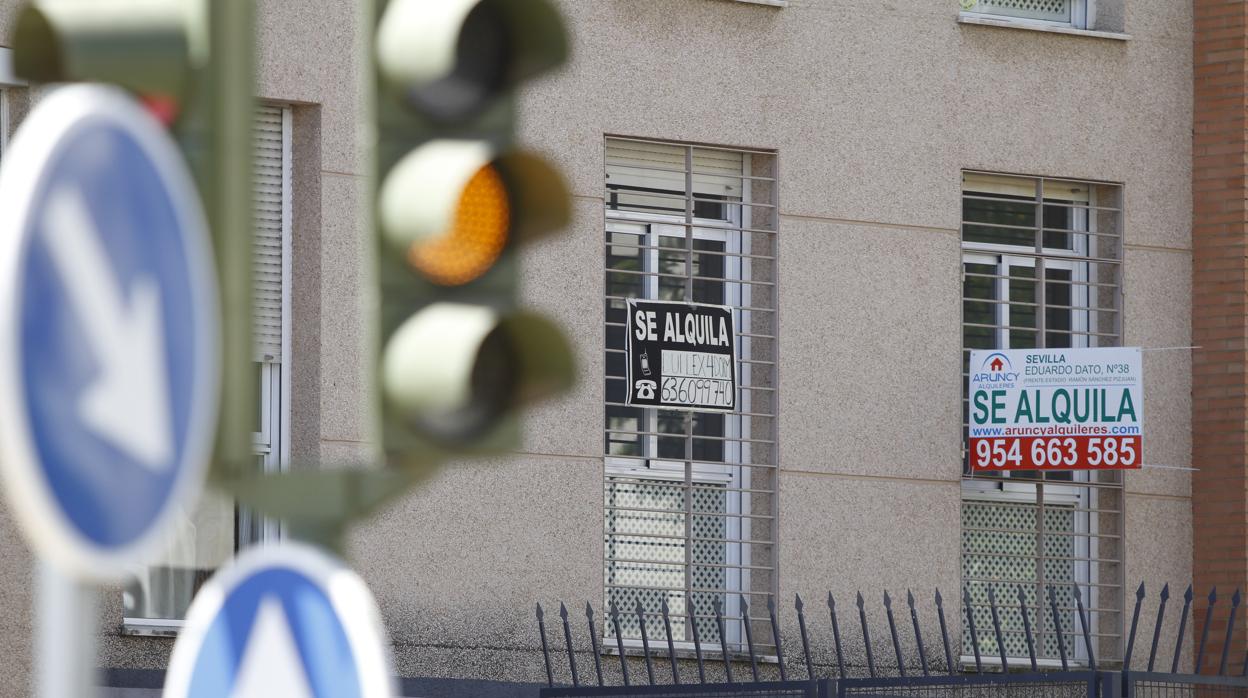 Fotos de edificios con carteles de alquiler en Sevilla