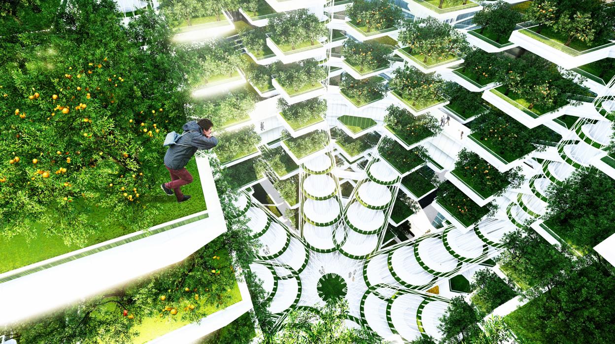 SkyFarm urbano proyectado para la ciudad de Seúl inspirado en el diseño ecológico de árboles gigantes