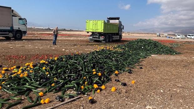 Productos de terceros países y reetiquetado fraudulento: el caldo de cultivo que ha agravado la crisis almeriense