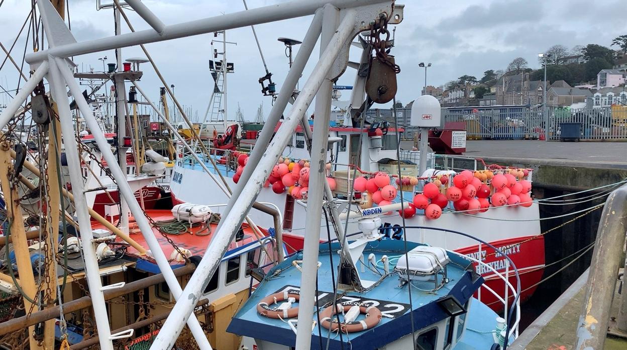 Vista general del puerto de Brixham (Reino Unido)