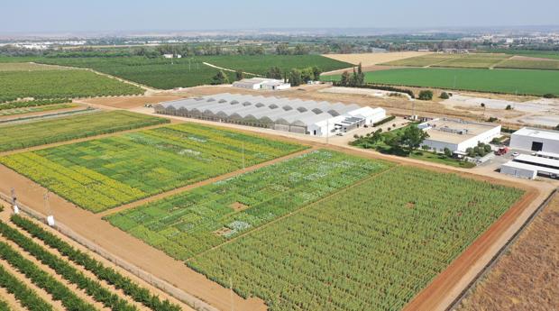 Andalucía, semillero de la agricultura del futuro