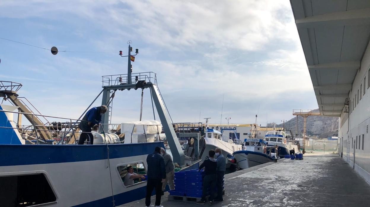 El sector pesquero avisa que el acuerdo pos-Brexit tendrá consecuencias en el reparto de las cuotas