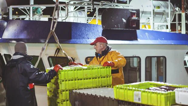 El sector pesquero español estima pérdidas superiores a los 54 millones hasta 2026 por el acuerdo post Bréxit
