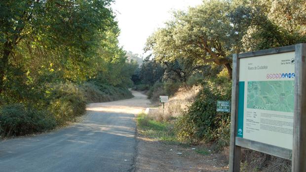 Solo hay un pueblo en Sevilla donde el paro bajó en  2020 pese al coronavirus