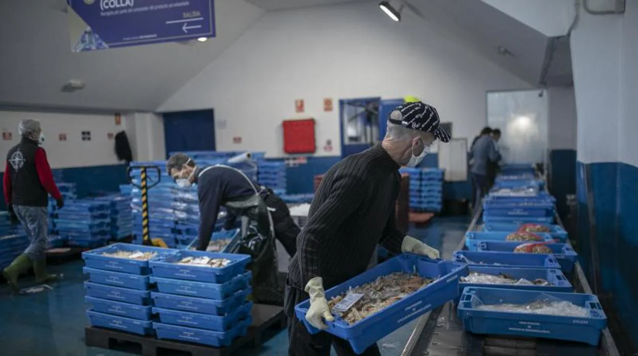 Agricultura reserva 1.000 euros de ayudas a la flota pesquera por el Covid en los Presupuestos