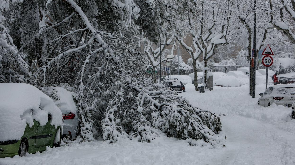 Limpieza de nieve realizada en Mercamadrid