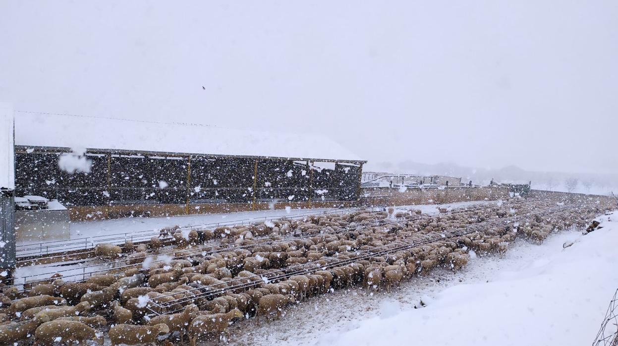 «Damos de comer a la gente y somos los últimos»