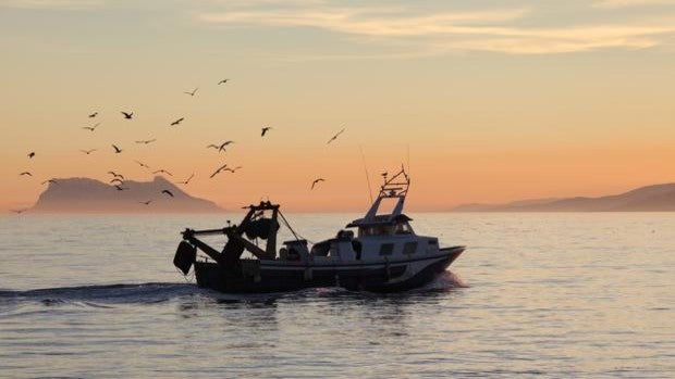 Adra, Barbate y Motril cuentan con nuevas Organizaciones de Productores Pesqueros