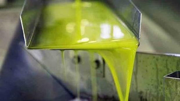 Aceite de oliva: El sector ignora la letra del decreto de autorregulación aprobado por el Gobierno