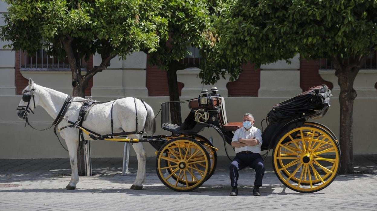 Un cochero aguarda sentado a los clientes en Sevilla, una de las provincias que más está acusando la falta de turistas