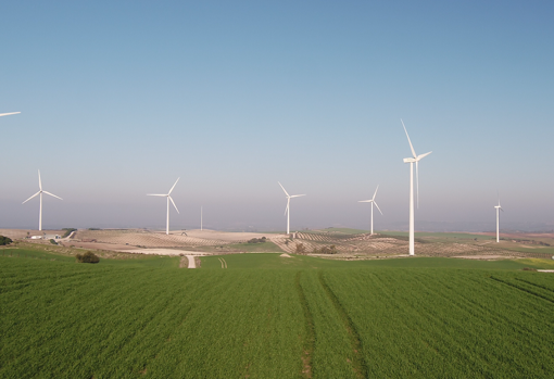 Parque eólico de Iberdrola en la localidad gaditana de Medina Sidonia