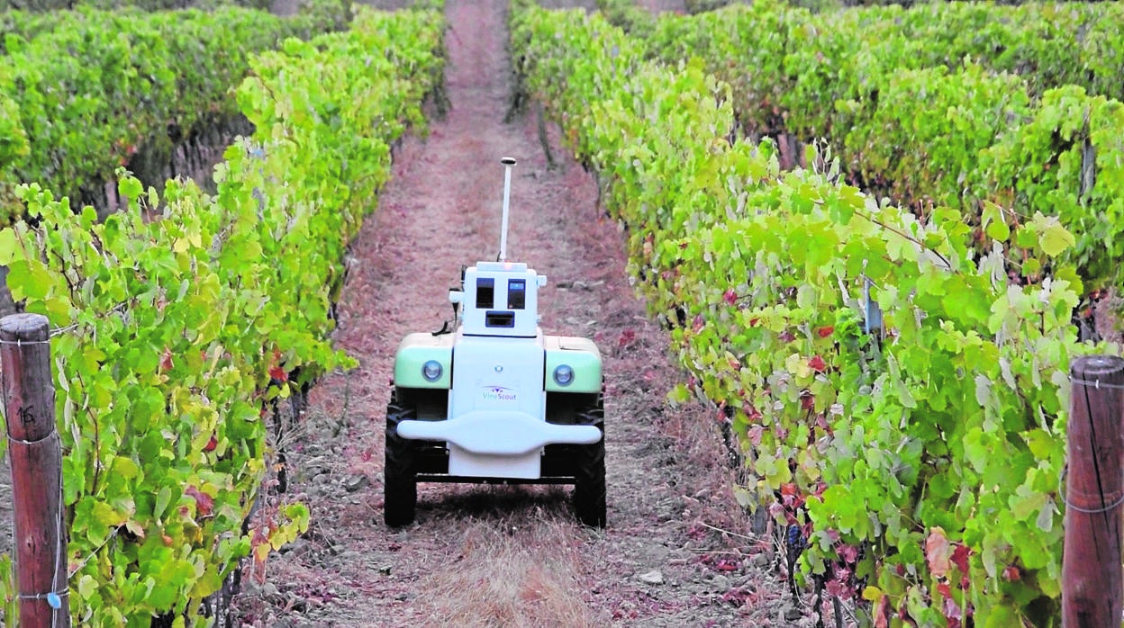 El robot de VineScout