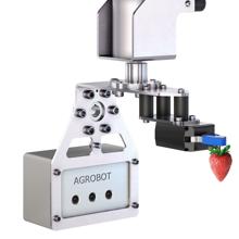 Los robots de Agrobot permiten cosechar la fresa con máxima precisión