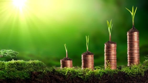 Las promotoras ya forjan el andamiaje de la sostenibilidad con bonos verdes