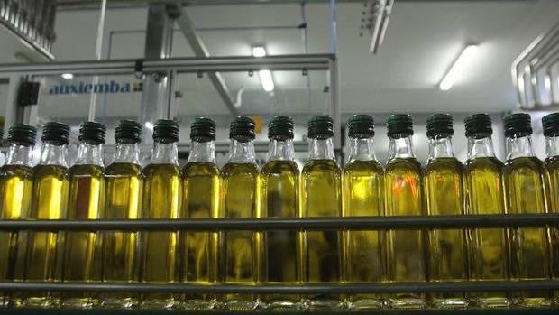 El aceite de oliva impulsa el crecimiento de las exportaciones andaluzas, que baten nuevo récord