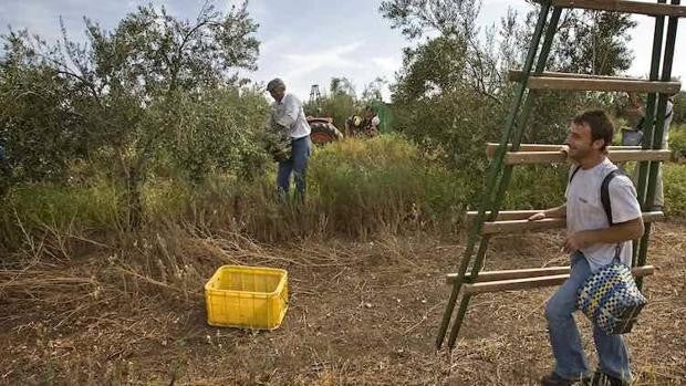 Asaja rechaza que, de nuevo, se «criminalice» al campo a base de masivas inspecciones