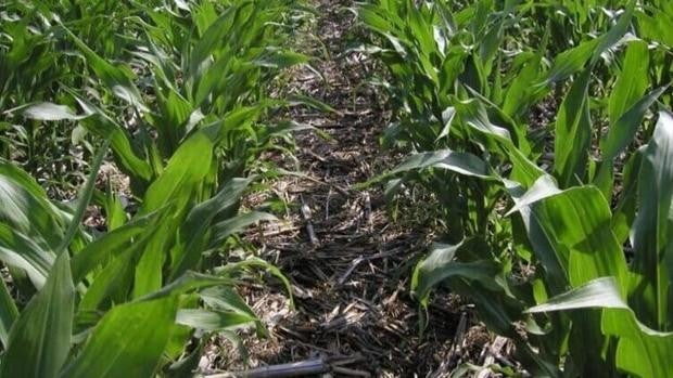 La agricultura de conservación como respuesta del sector agrícola ante una situación de emergencia climática