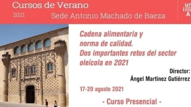 Nuevos cursos de la UNIA para convertirse en un experto en aceite de oliva