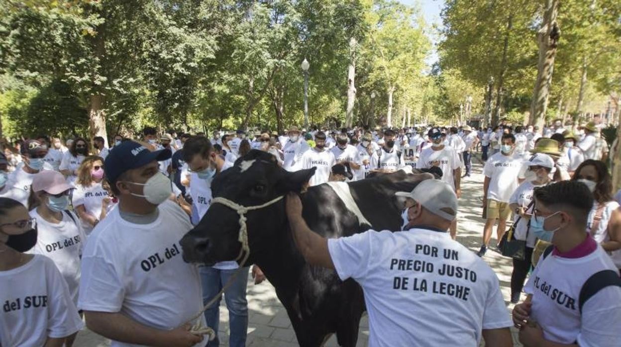 Los ganaderos han llevado sus reivindicaciones por toda España en el último mes