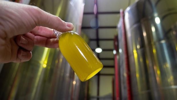 El ‘refrescado’ de aceites de oliva sí está permitido en la nueva Norma de Calidad