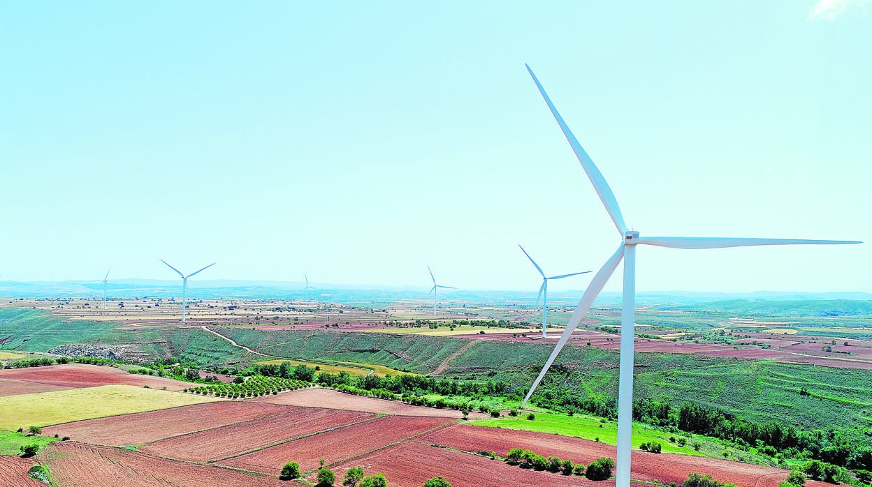 Los proyectos de Forestalia tienen en cuenta la viabilidad técnica, ambiental y social y buscan ser un revulsivo de desarrollo, en especial para el medio rural