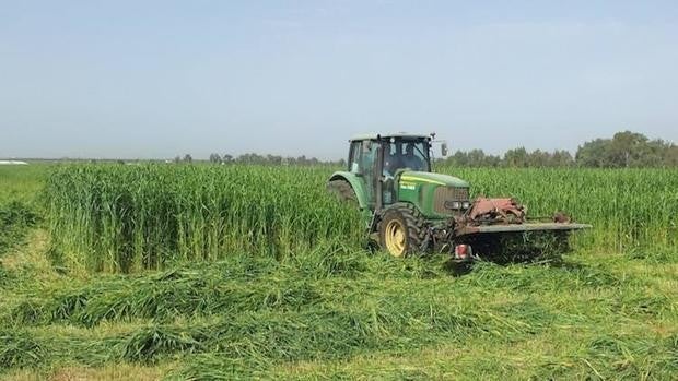 La subida de costes ahoga al campo: se incrementa casi un 10% en un año el gasto en pienso, energía o fertlizantes