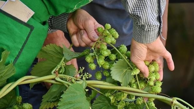 El campo, ahogado: está viviendo la ‘campaña más cara de la historia’