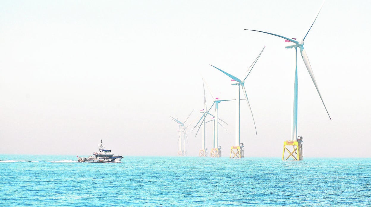 Líder en financiación verde y sostenible, con 35.800 millones de euros, Iberdrola se consolida como el primer emisor corporativo de bonos verdes del mundo