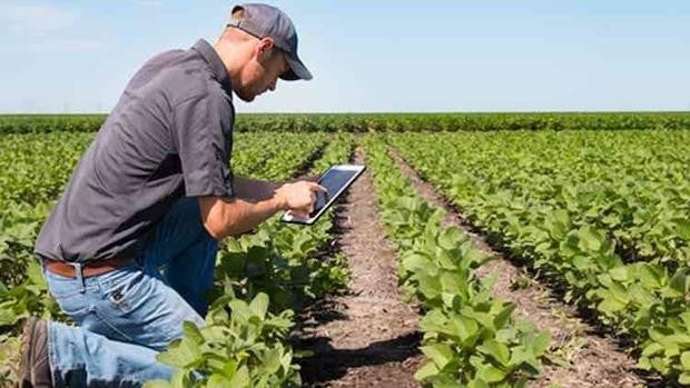 Los jóvenes ya no quieren ser agrónomos: no hay profesionales para cubrir la demanda