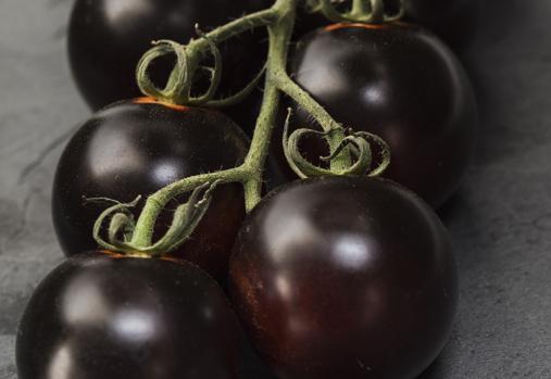 El tomate Yoom, premiado como una de las innovaciones más sobrealientes de 2020, fue fruto del trabajo de un equipo español de mejoradores de Syngenta. Nació en la Estación de Ensayo que esta empresa tiene en El Ejido