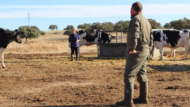 España pide a Europa que se activen mecanismos de apoyo a los agricultores, pero la CE no lo contempla